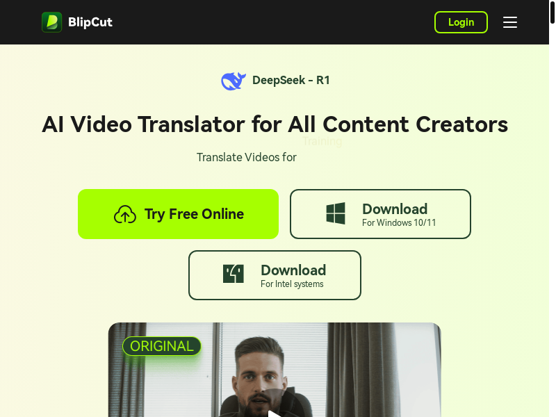 BlipCut AI Video Translator